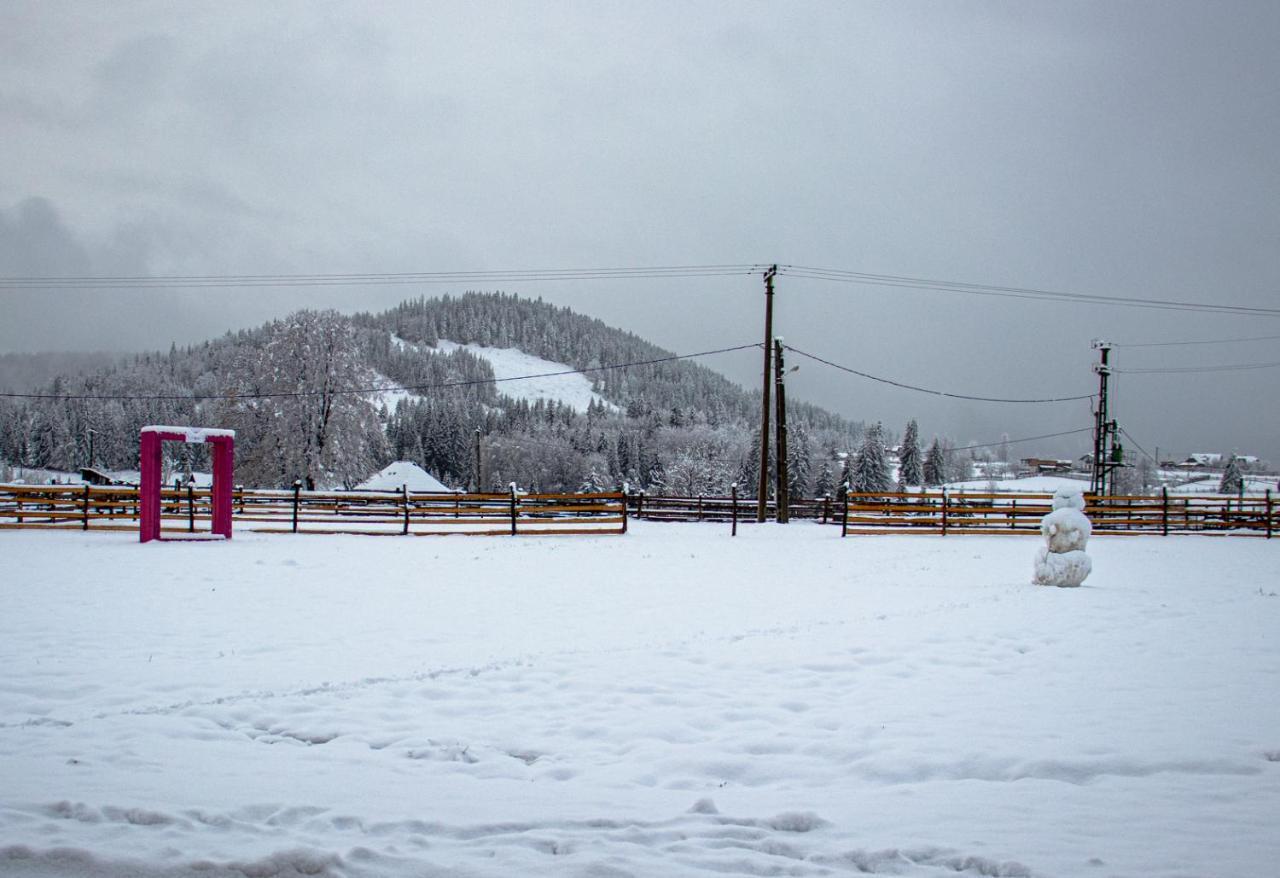 Chalet Delut Hotel Suceava Exterior photo